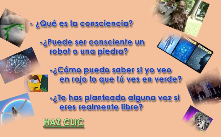 Sobre la consciencia